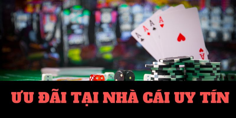 sun88-Cảm nhận nhịp đập của trận đấu - Trực tiếp bóng đá!